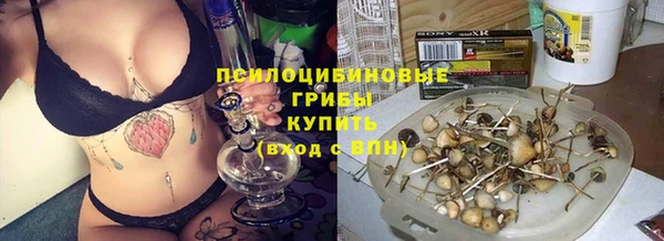 MDMA Горнозаводск